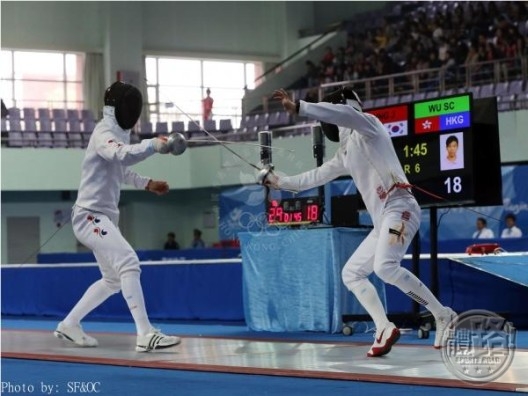 20131010-fencing03