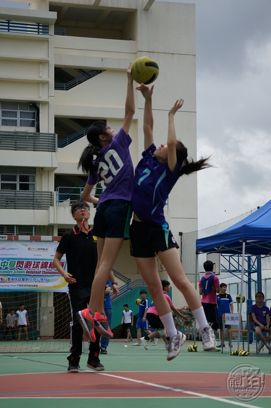 20140520-03dodgeball