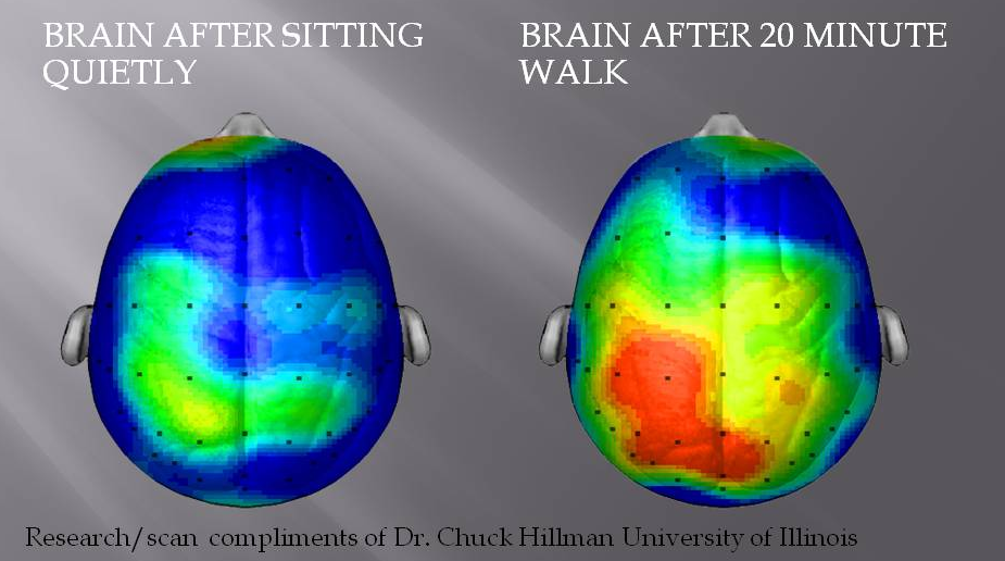 brain_walk