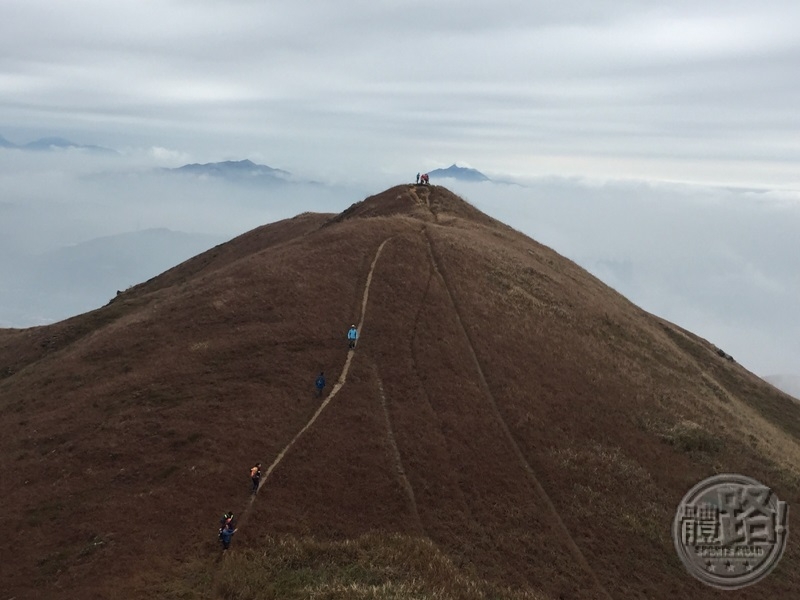 一個又一個鋪滿枯黃草坡的山峯（圖片：Jessica）