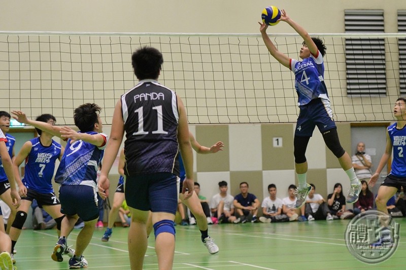 interschool_volleyball_hkklnd1agrade_semifinal_dbs_cswcss_skwgss_waying_20161120-26