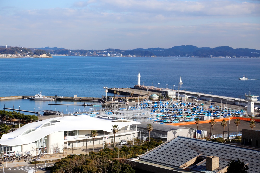 江之島,藤澤帆船海港