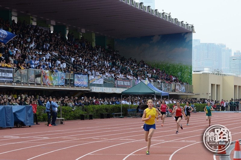 D1學界田徑,田徑,學界港九區