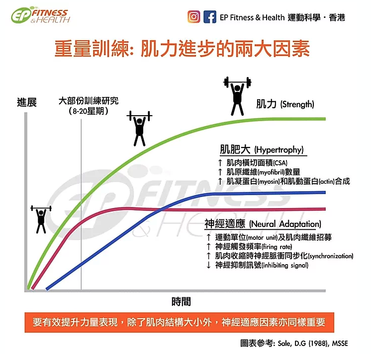 【重量訓練】肌力進步的兩大要素