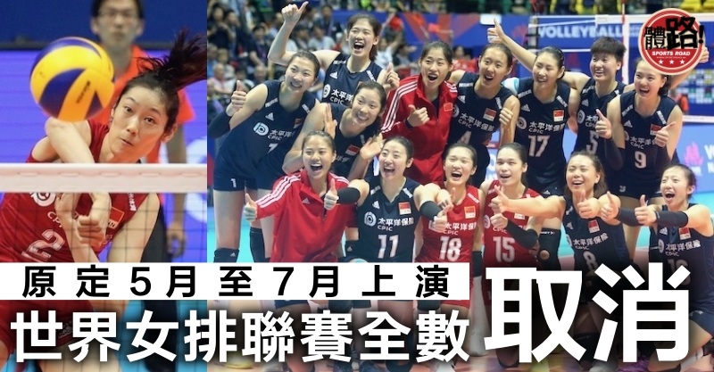 FIVB世界女子排球聯賽,排球