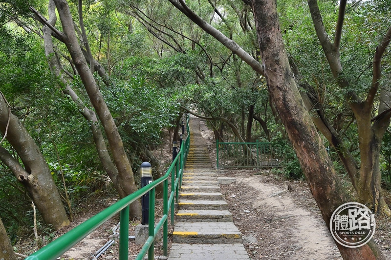 郊悠遊,行山,觀塘,沈雲山,平山