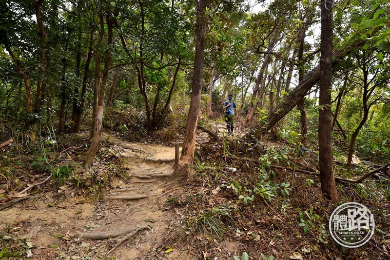 郊悠遊,行山,觀塘,沈雲山,平山