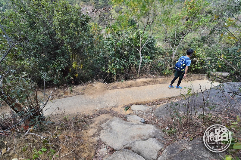 郊悠遊,行山,觀塘,沈雲山,平山