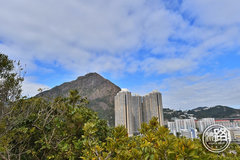 郊悠遊,行山,觀塘,沈雲山,平山