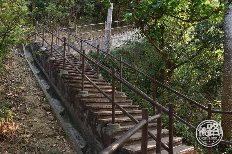 郊悠遊,行山路線,行山,青衣,青欣山,青衣自然徑