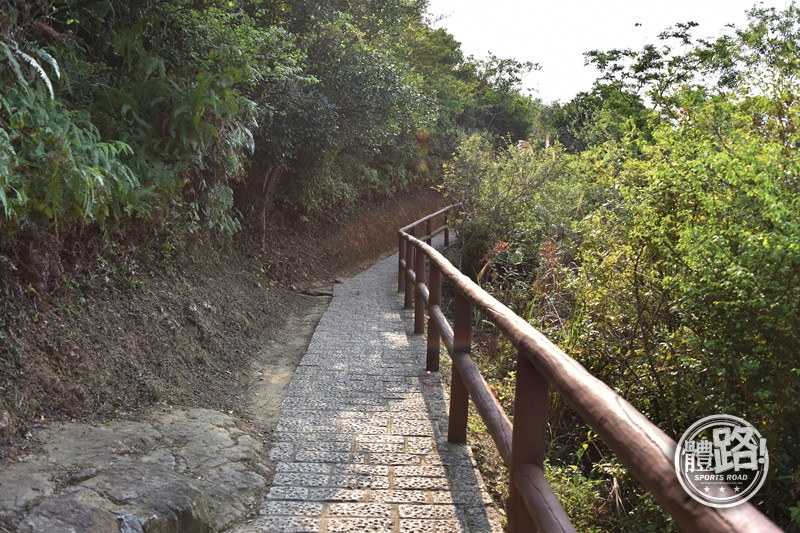 郊悠遊,行山路線,行山,青衣,青欣山,青衣自然徑