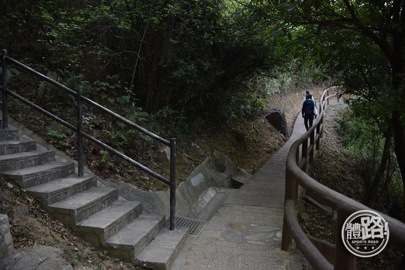 郊悠遊,行山路線,行山,青衣,青欣山,青衣自然徑