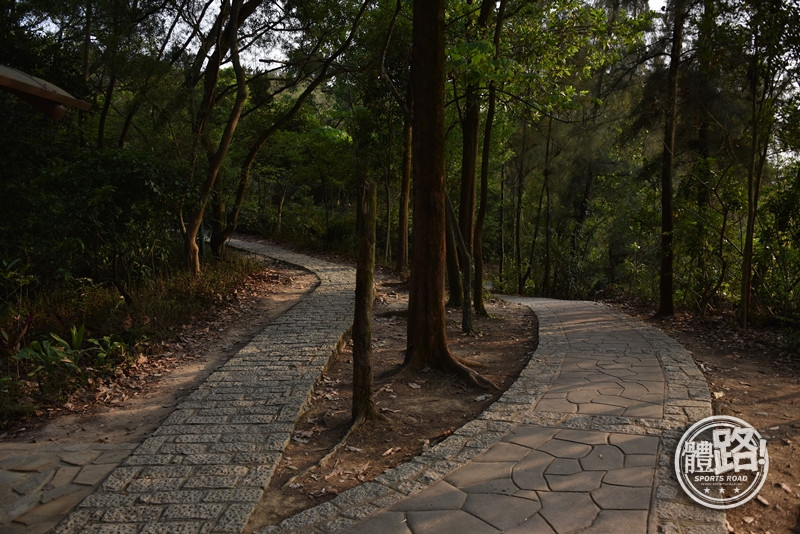 郊悠遊,行山路線,行山,青衣,青欣山,青衣自然徑