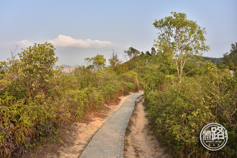 郊悠遊,行山路線,行山,青衣,青欣山,青衣自然徑