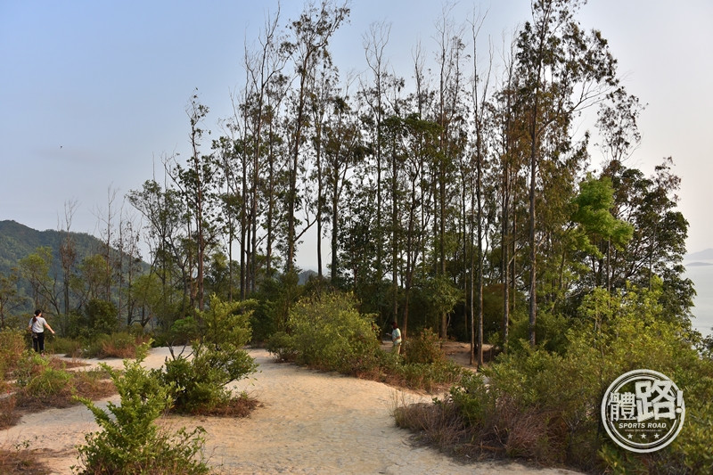 郊悠遊,行山路線,行山,青衣,青欣山,青衣自然徑