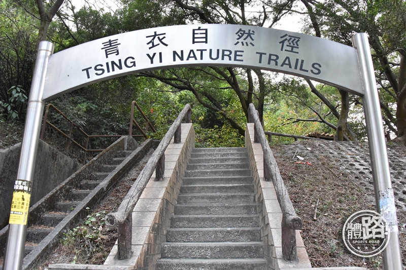 郊悠遊,行山路線,行山,青衣,青欣山,青衣自然徑